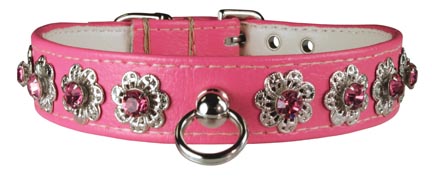 Leather Brothers Majestic Starburst Dog Collar